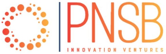 PIV logo